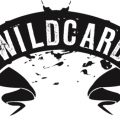 wildcard logosu